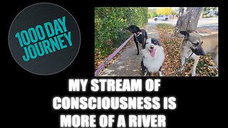 1000 Day Journey 0868 My Stream of Consciousness is More of a River than Stream