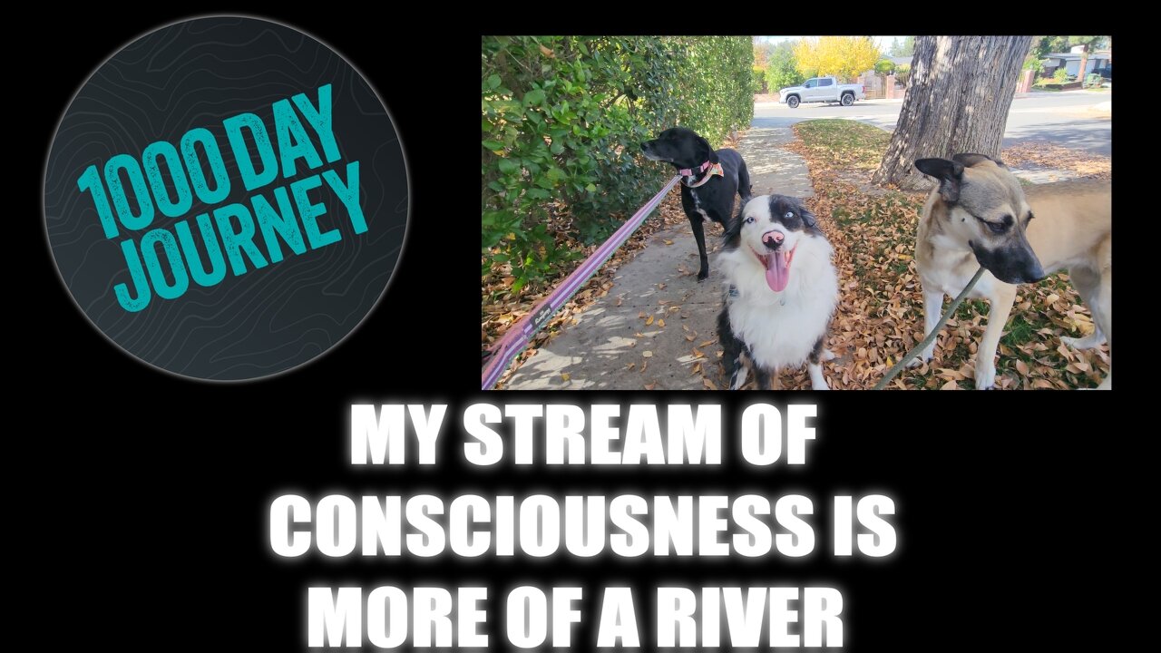 1000 Day Journey 0868 My Stream of Consciousness is More of a River than Stream