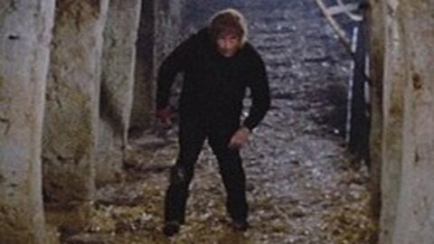 Hunchback of the Morgue-Paul Naschy, María Elena Arpón-1973 IMDb 6.1/10