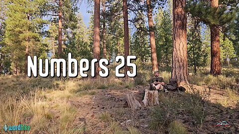 Numbers 25, Bible Reading in Nature, BSB