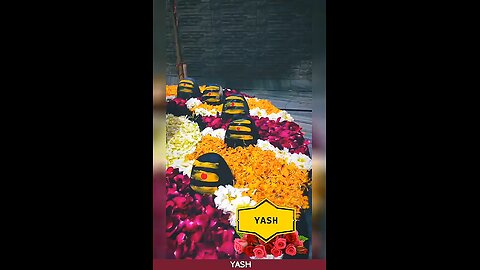 Mahadev Divine Status | Shiv Shakti Vibes