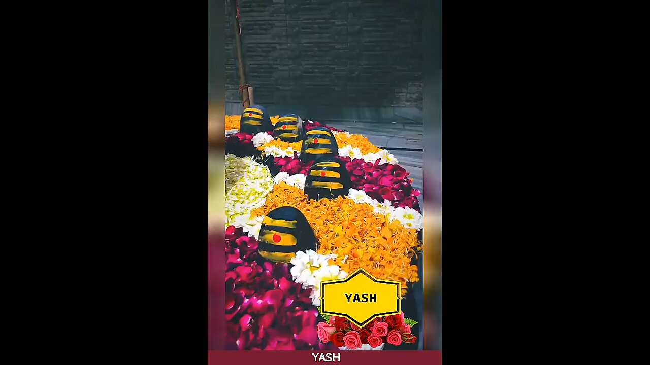 Mahadev Divine Status | Shiv Shakti Vibes