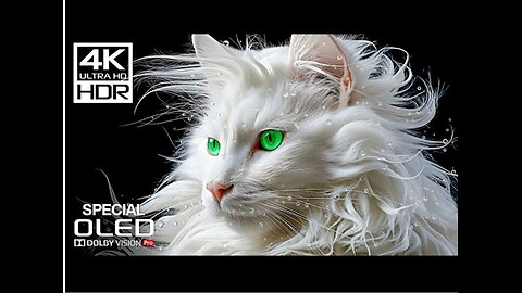 Special OLED TEST | Dolby Vision Demo | 4K HDR 120 FPS