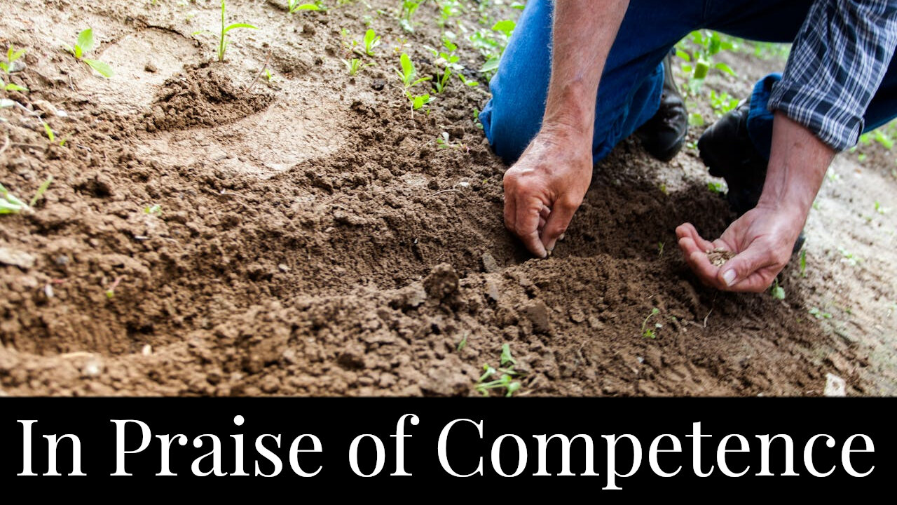 In Praise of Competence