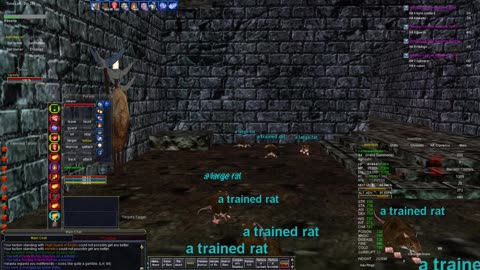 A Small Rat Problem in Everquest