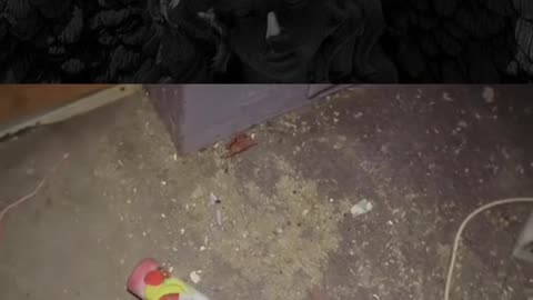 ⚠️😨 Wait For The End... Haunting Shadow Appears | TheHauntingHour