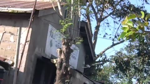 Morning Breeze on Masikap Street in Calamba City, Laguna, Philippines