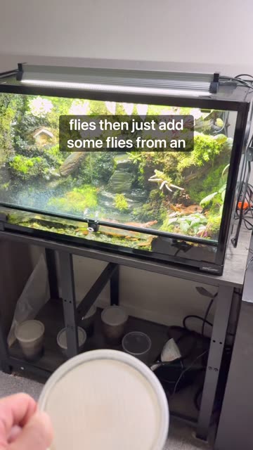 Food For My Poison Dart Frogs!