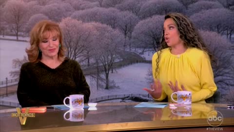 Whoopi Goldberg Gives Sunny Hostin Reality Check About ICE Agents' Rights