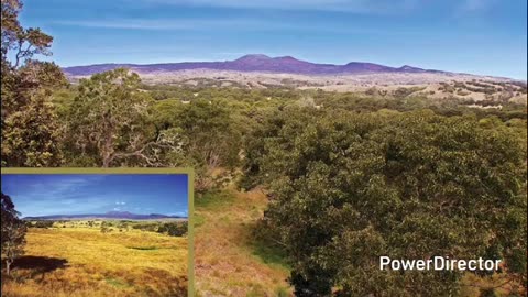 hakalau forest national wildlife refuge