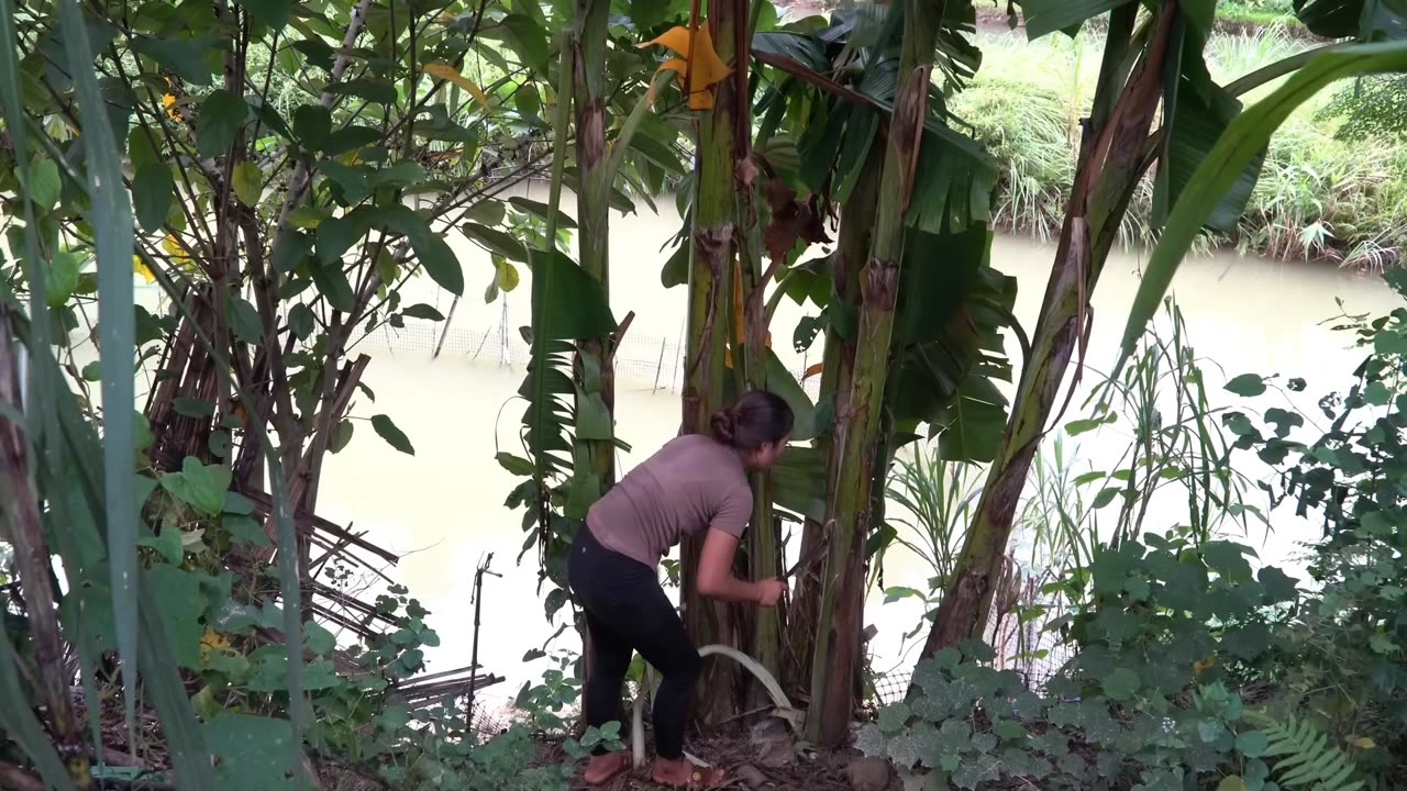 Fishing, Smoking, and Feeding – A Sustainable Cycle