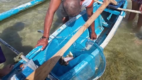 🇵🇭 Fresh Fish from the Sea! Life in the Philippines 🌊🐟