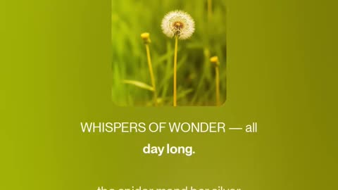 Whispers of Wonder