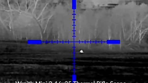 Video comparison - Pulsar and Sightmark