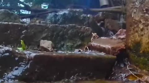 Mucha lluvia Tacuarembó - La tierra saturada de agua 03/09/2025