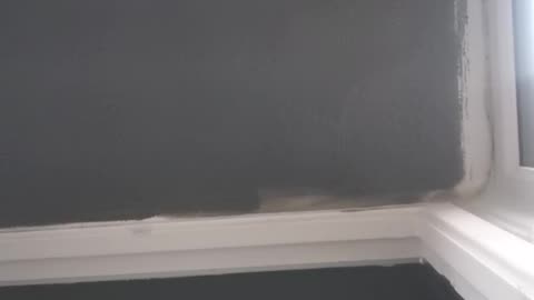 You’re Now Locked Into Timeless !