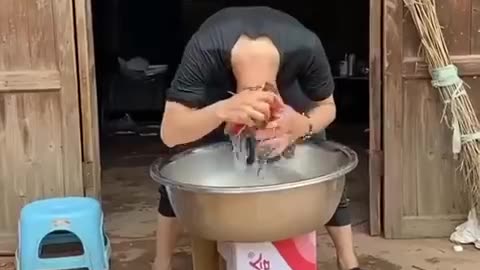 laugh out loud laugh out loud