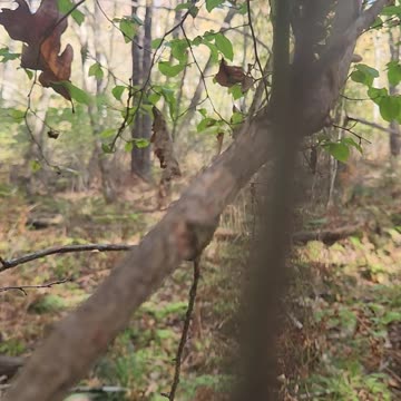 Will he Smile on Me?