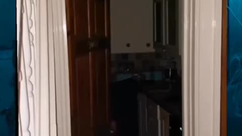 👻👿 #ghostlytoksa #skinwalker #creepyvideos #haunted #demon | TheHauntingHour