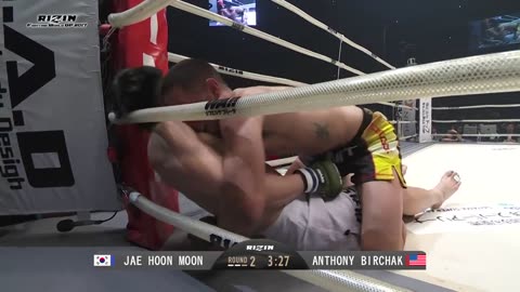 RIZIN WORLD GP 2017 Second Round - Dec 29 2017 - Saitama Super Arena