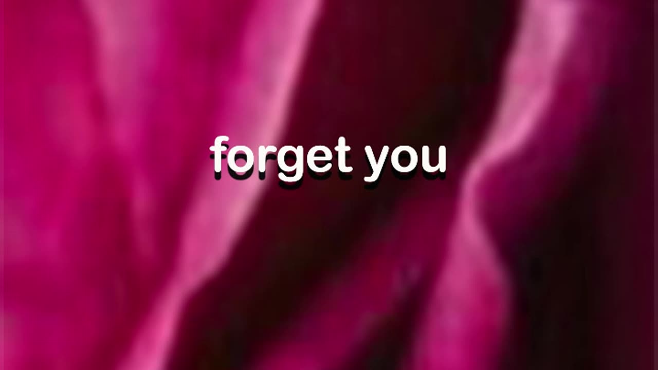 N.o.t Vince-Forget You(Official audio)