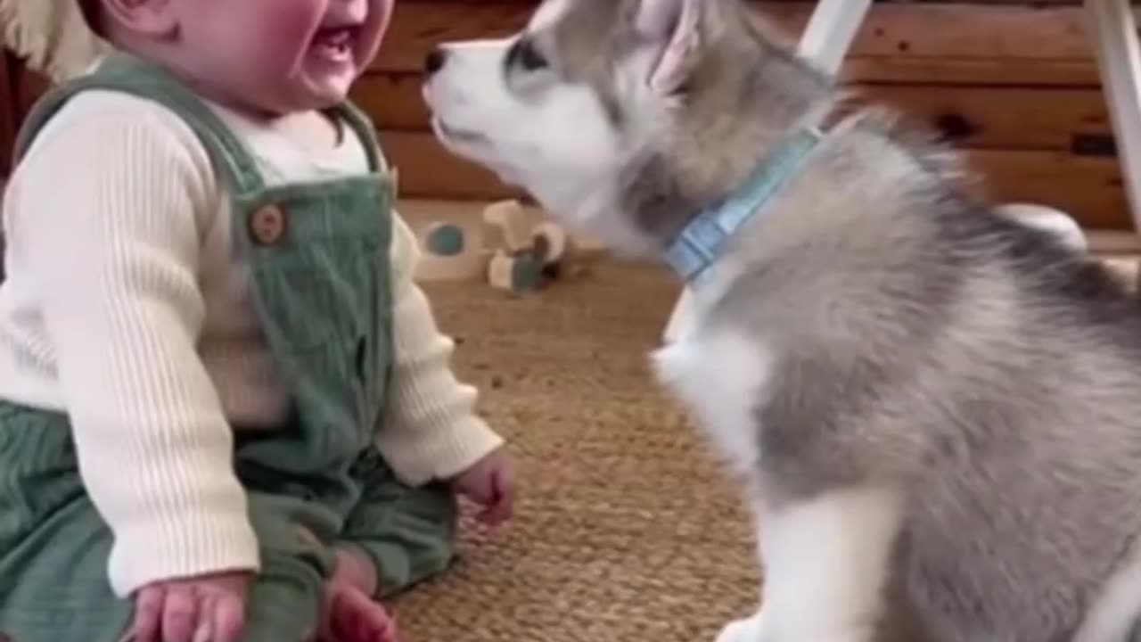 The Secret Conversation 🐶👶 Too Cute to Handle!