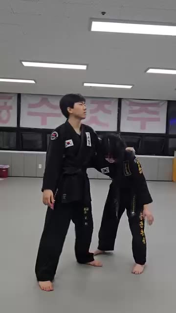 Hapkido