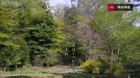 究極ガイド2時間でまわる☆☆☆ 2時間でまわる明治神宮