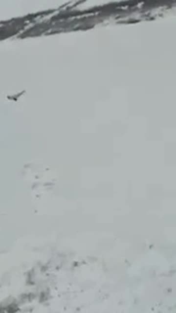 Russian Attack Drone Shot Down by Ukrainian Light Aircraft Flying Alongside