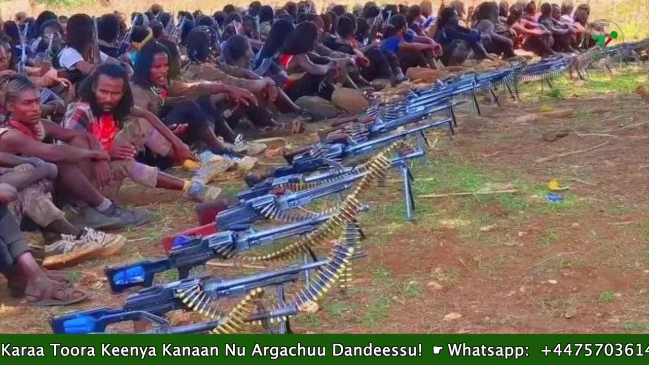 Gabaasa Tarkaanfii ONM-ABO Onkoloolessa 9-2025 itti dhiyaadhaa!