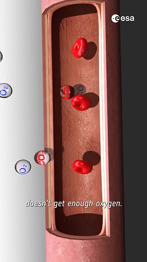 How living on the Moon could affect your brain! 🧠🌕