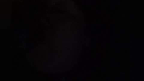 PART 5 OF MINNEAPOLIS MIN $5 BOBBLEHEAD FUNKO POP PAM BONDI