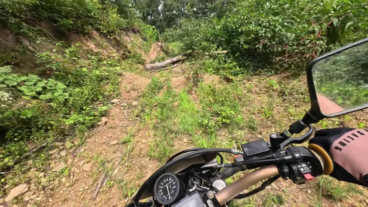 Ripping a Suzuki DR650 up a mountain in West Virginia