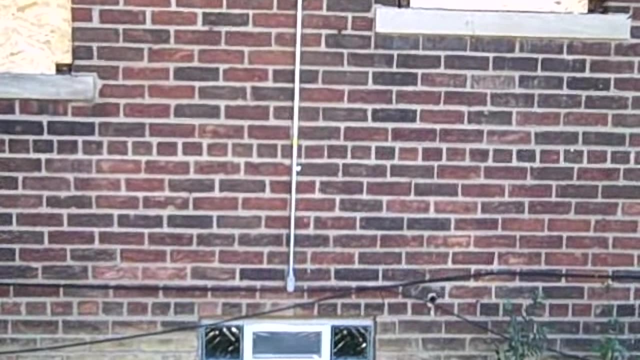 enjoy the shea show, another random video shea show