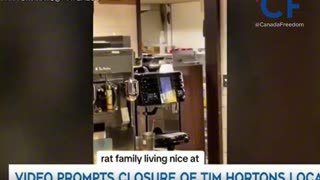 Present Day Tim Hortons
