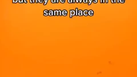 The sun under a telescope with a sun filter...