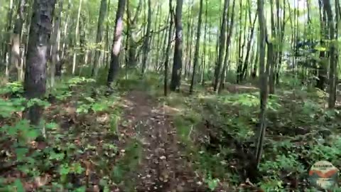 NCT 100 WILDERNESS Hike | Hike POV, ASMR