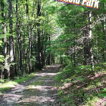 Exploring the Newtown Battlefield on a trail run