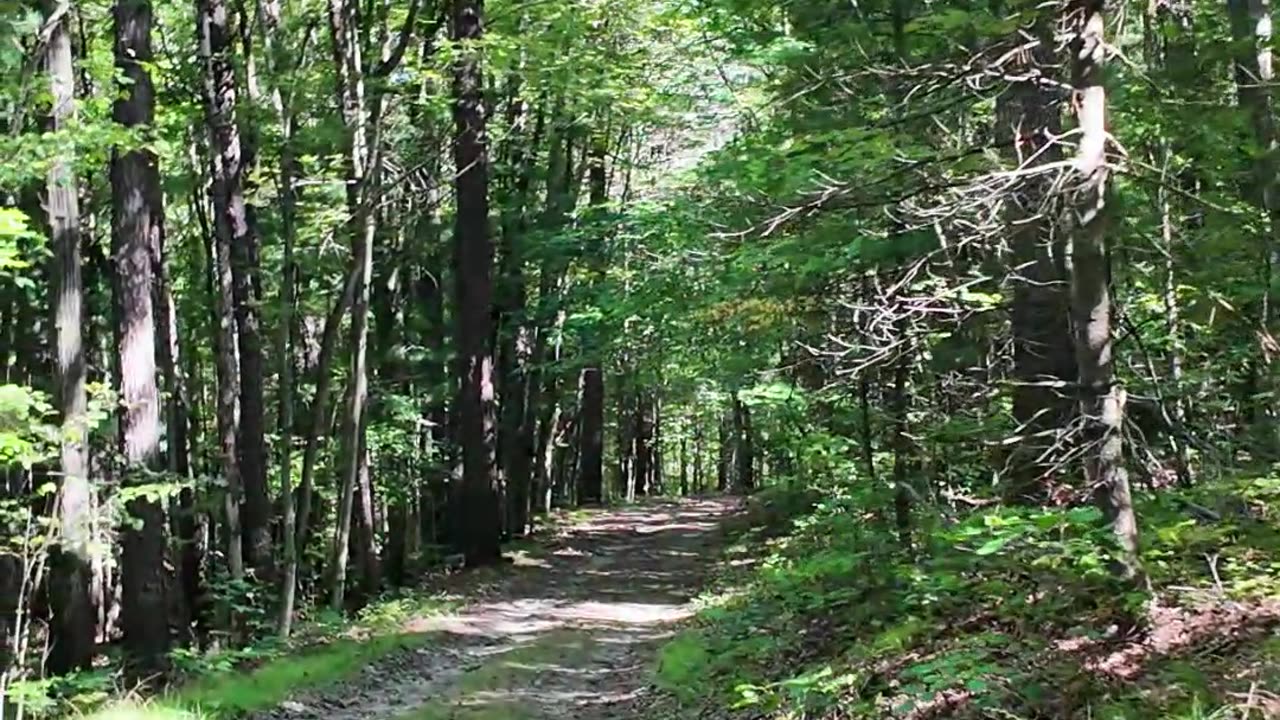 Exploring the Newtown Battlefield on a trail run