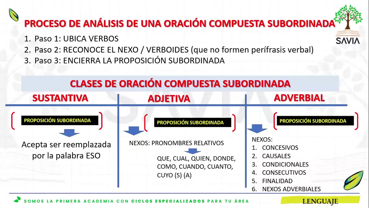 SAVIA REGULAR 2025 | Semana 16 | Lenguaje