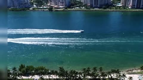 Real Estate SEO Expert in Delhi