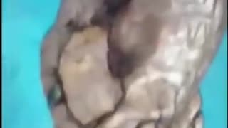 🤯🔍 Did You Know About These Alien-Like Structures Found in Mexico?! | TheTruthAbove