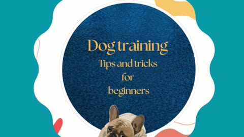 Training a puppy is all about routine, supervision, and rewarding success. #puppytraining