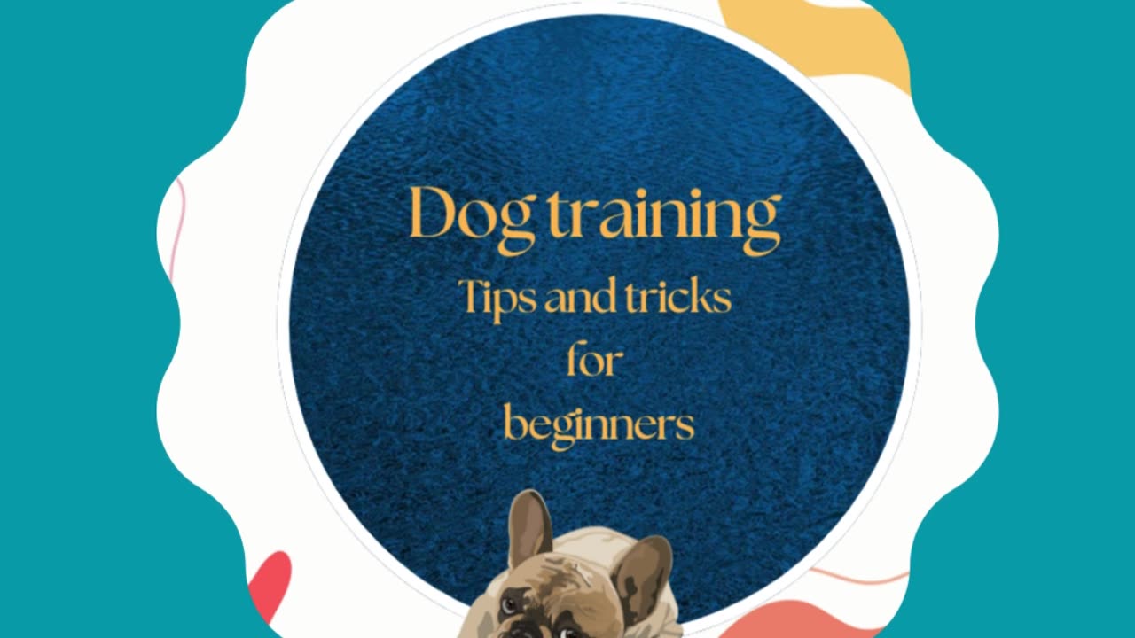 Training a puppy is all about routine, supervision, and rewarding success. #puppytraining