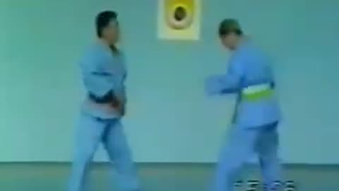 Vovinam Vietnamese Martial Art