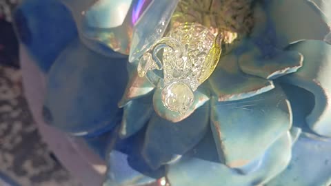 Mike fraser dog walker went criminally insane.