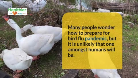 H5N1 bird flu