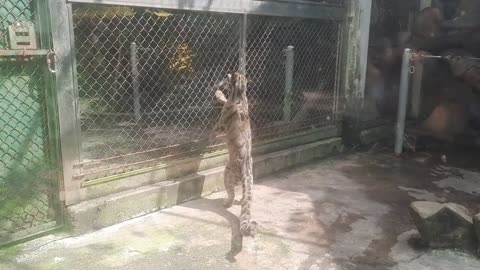 [PAPA VỀ VN 10.2025 ] ĐI THẢO CẦM VIÊN