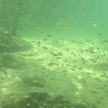 Any Day Snorkeling Is A Good Day!!