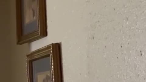😱🔊 Disturbing Knocking Noise: What Could It Be? | TheHauntingHour